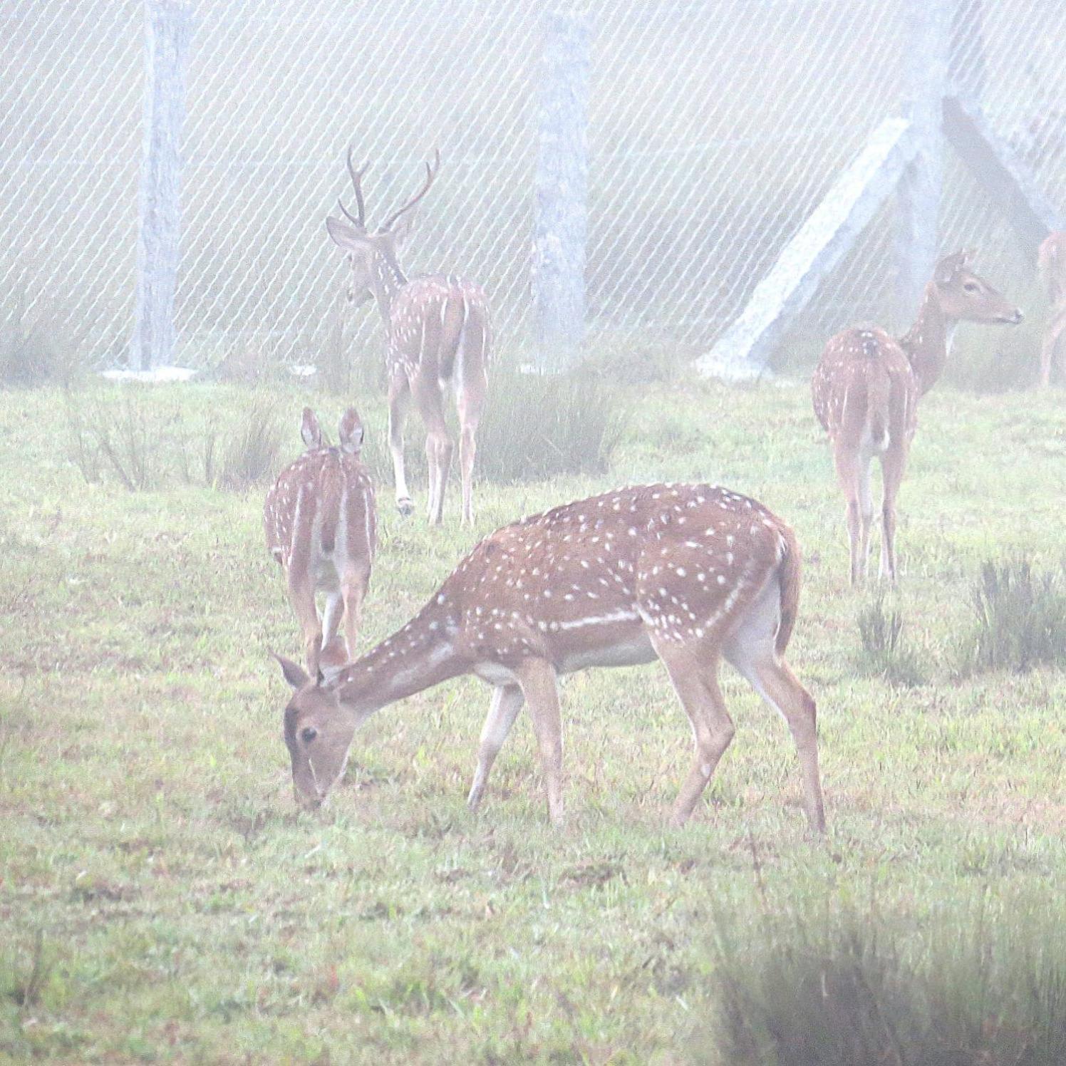 穆杜马莱The Deer Meadows别墅 外观 照片