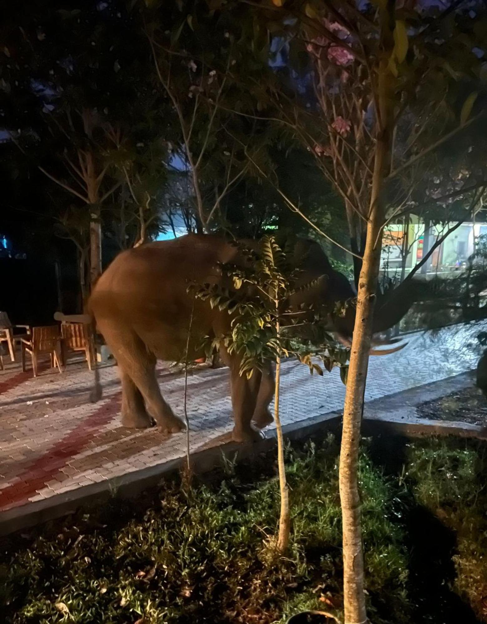 穆杜马莱The Deer Meadows别墅 外观 照片