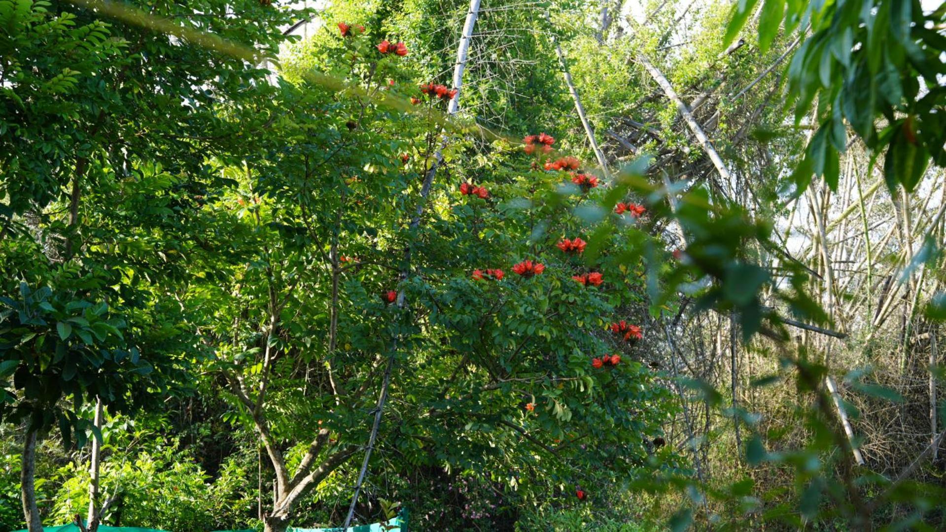 穆杜马莱The Deer Meadows别墅 外观 照片